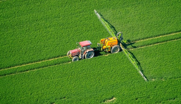 Tracker spraying pesticides on a green grain field