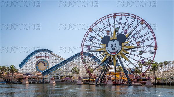 Ferris Wheel Mickey's Fun Wheel and Roller Coaster California Screamin'