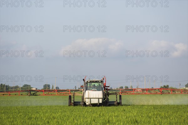 A tractor sprays a fungicide onto the rice fields