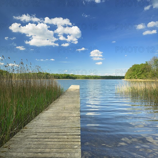 Bathing spot with Boardwalk