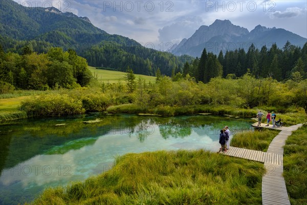 Sava Dolinka spring