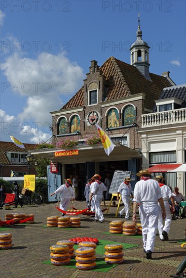 Cheese Market