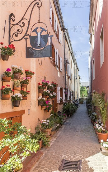 Narrow alleyway through houses decorated with flowers