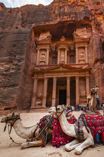 Dromedaries in front of the Pharaoh's treasure house carved out of rock