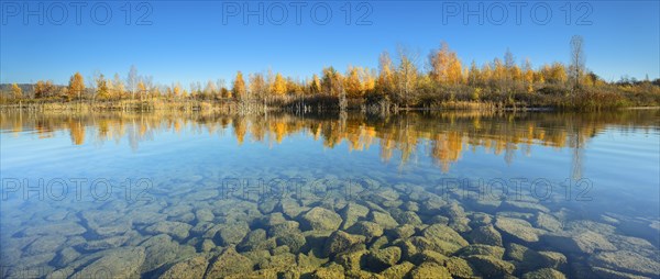 Geiseltalsee in autumn