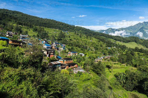 Houses in agricultural landscape with green terrace rice fields