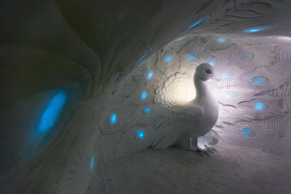 Peacock made of ice