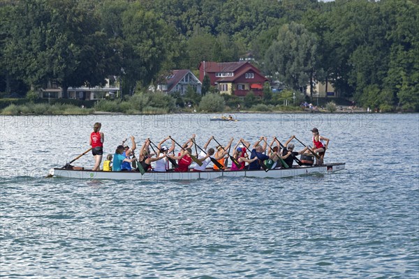 Paddler dragon boat