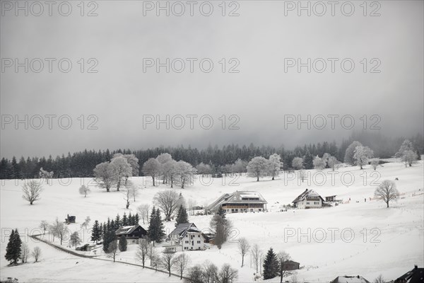 Black Forest houses in winter