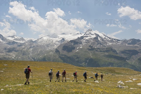 Hikers hike one after the other on a hiking trail over a meadow