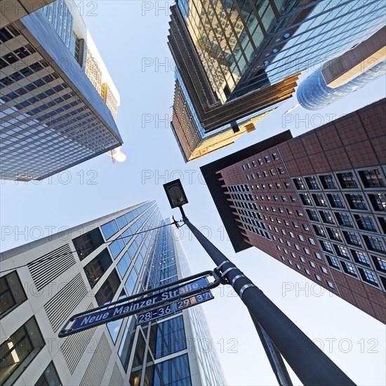 Frog's eye view of skyscrapers in the banking district