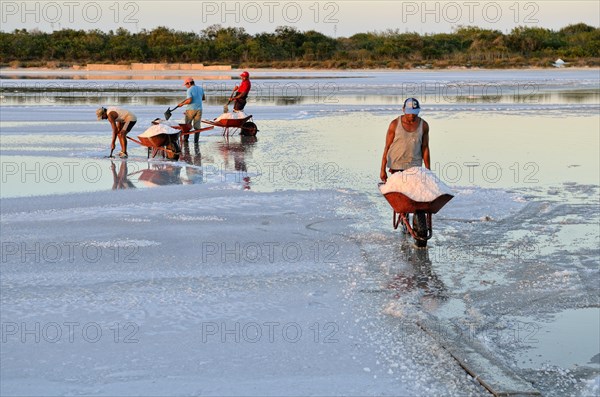 Workers shoveling salt in wheelbarrow
