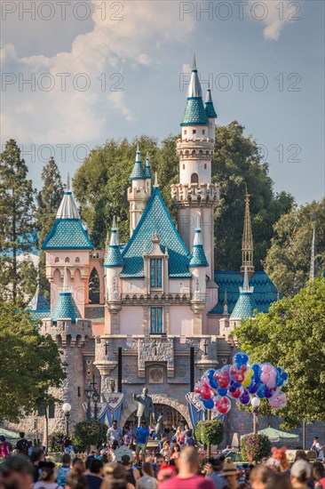 Sleeping Beauty Castle