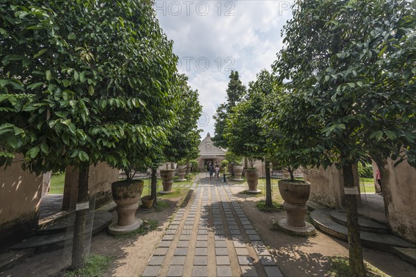 Trees at the entrance to moated castle