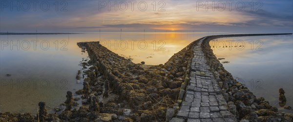 Groyne