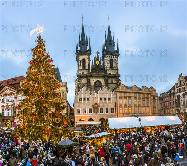 Tyn Cathedral