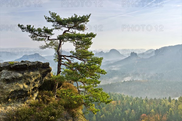 View from Kleiner Winterberg