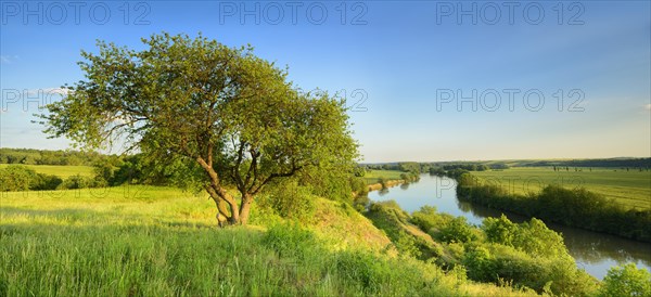 View of the river Saale