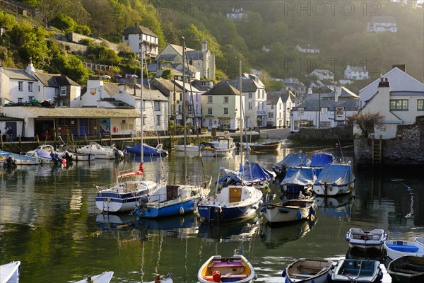 Polperro