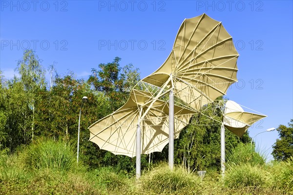 Replica of normal sailing apparatus by Otto Lilienthal