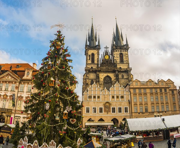 Tyn Cathedral