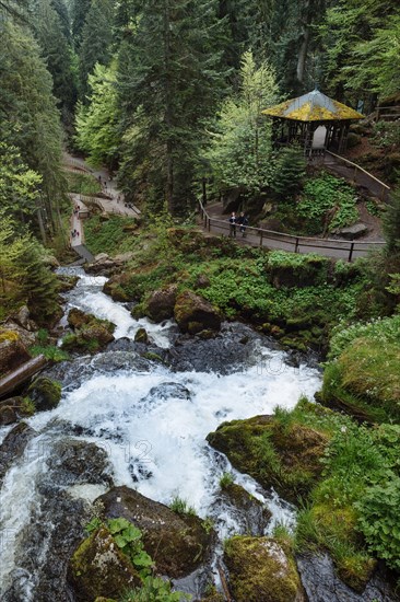 Triberg Waterfalls