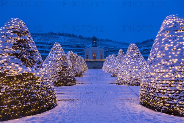 Belvedere Pavilion in winter in front of vineyards