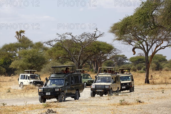 Tourists on safari