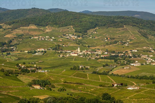 Quincie-en-Beaujolais village