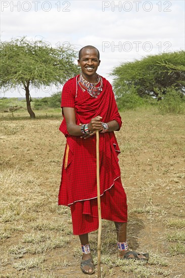 Male Maasai in traditional Shuka clothing with shepherd's crook