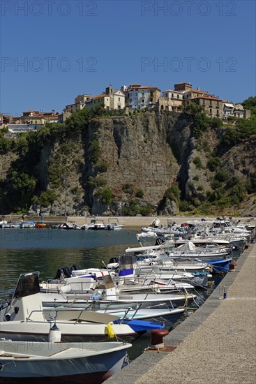 Boats in the harbour