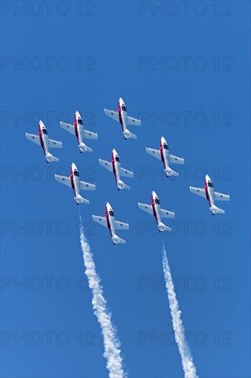 Canadian Armed Forces Snowbirds