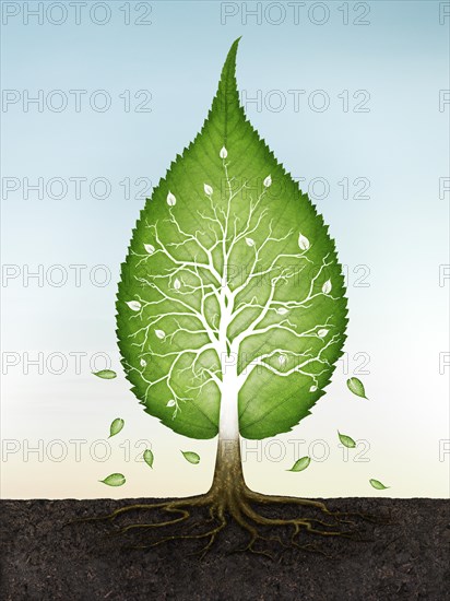 Green leaf shaped tree with roots in the earth with blue sky