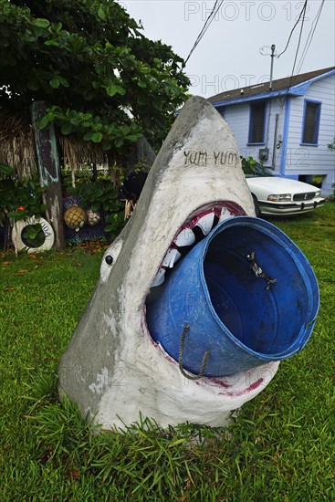 White Shark