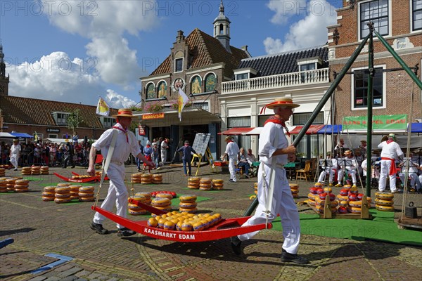 Cheese Market