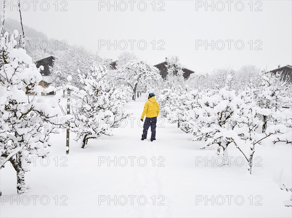 Man with yellow winter jacket in orchard
