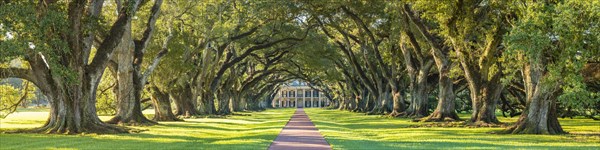 Historic Oak Alley Plantation