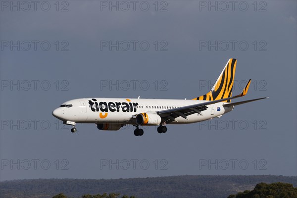 Tigerair airlines