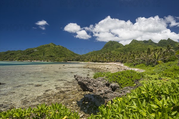 Bay near Muri