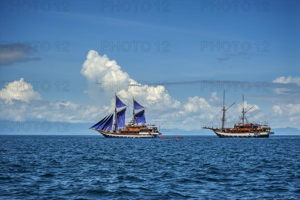 Phinisi Sailboats