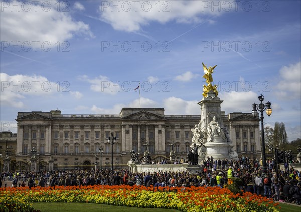 Buckingham Palace and Victoria Memorial