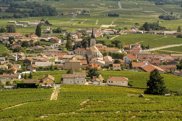 Fleurie village