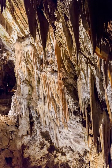 Caves of Postojna