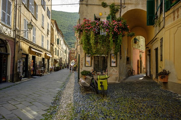 Old Town Lane