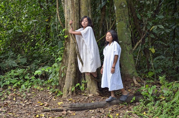 Tribal children