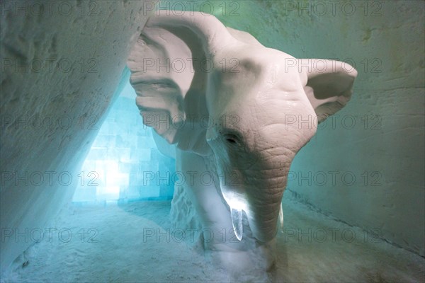 Elephant made of ice