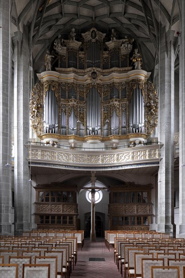 Organ