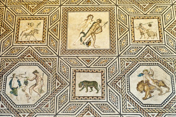 Roman Floor Mosaic