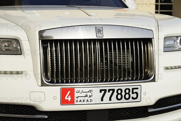 Radiator grille