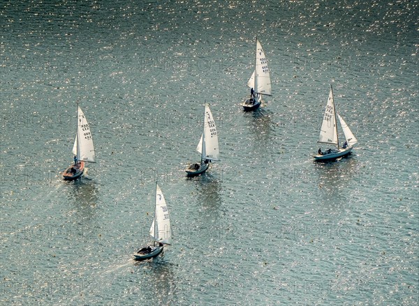 Sailing regatta on Lake Baldeney